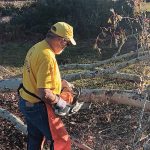 An Eastern Louisiana Baptist Association chainsaw team cut through trees in Mount Vernon, Georgia. ELBA photo